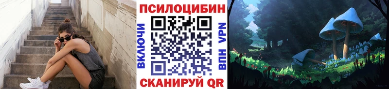 купить наркоту  Сысерть  Псилоцибиновые грибы MAGIC MUSHROOMS 